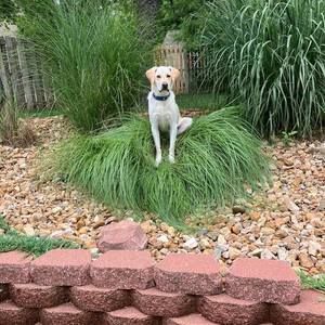 Meet your Posher, Deanna